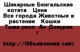 Шикарные Бенгальские котята › Цена ­ 25 000 - Все города Животные и растения » Кошки   . Тыва респ.,Ак-Довурак г.